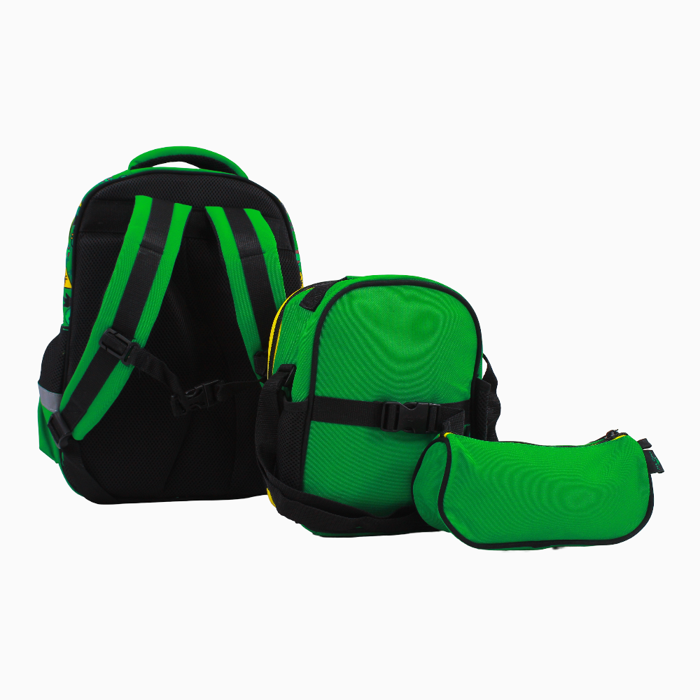 Dinosaur School Set – 15 Inches