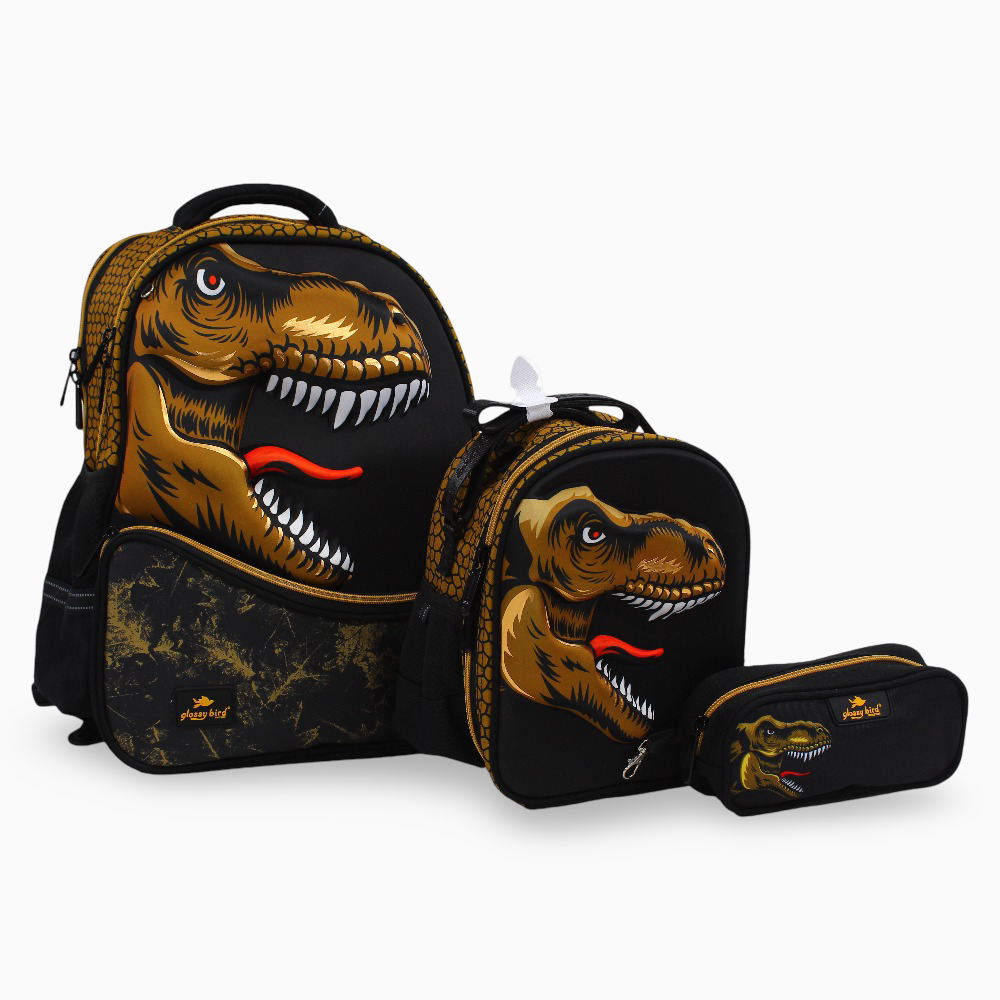 Dinosaur School Set – 17 Inches