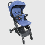 Blue Baby Stone Stroller