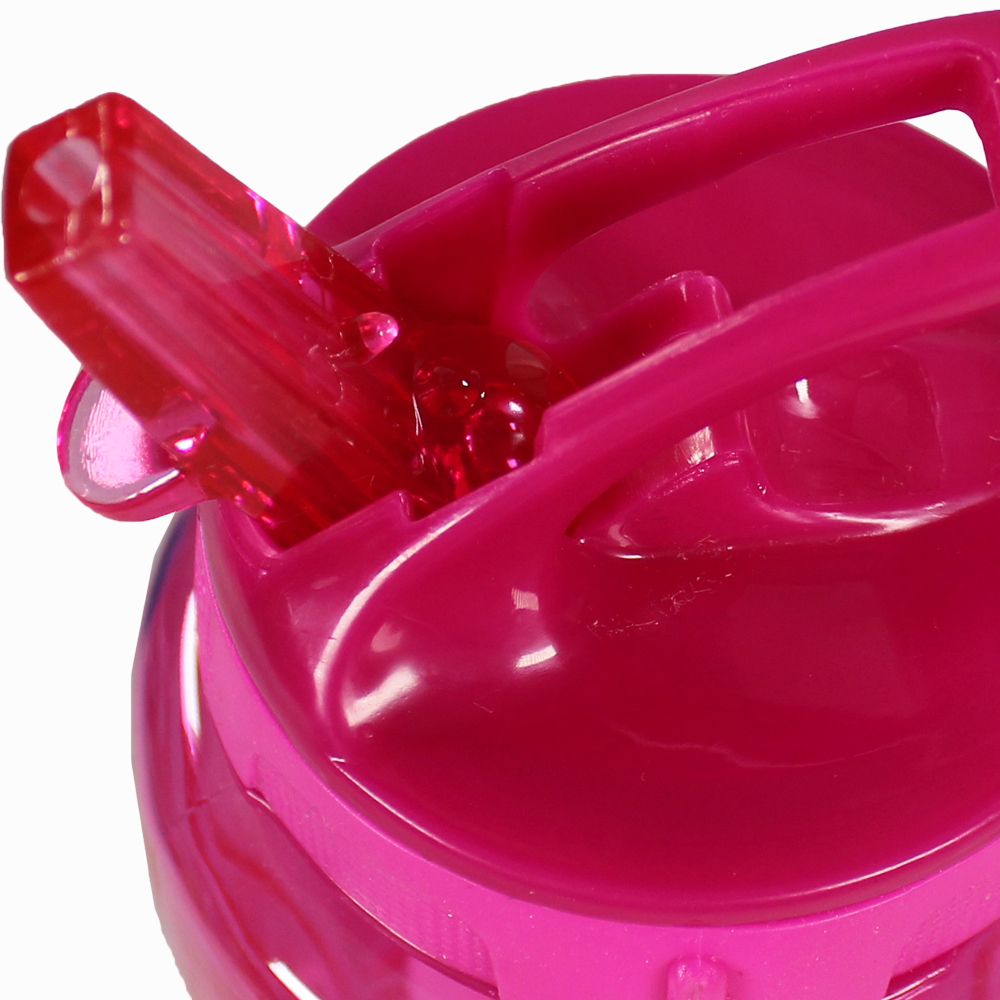 Cool Gear Infusion Water Bottle 828ml – Fuchsia