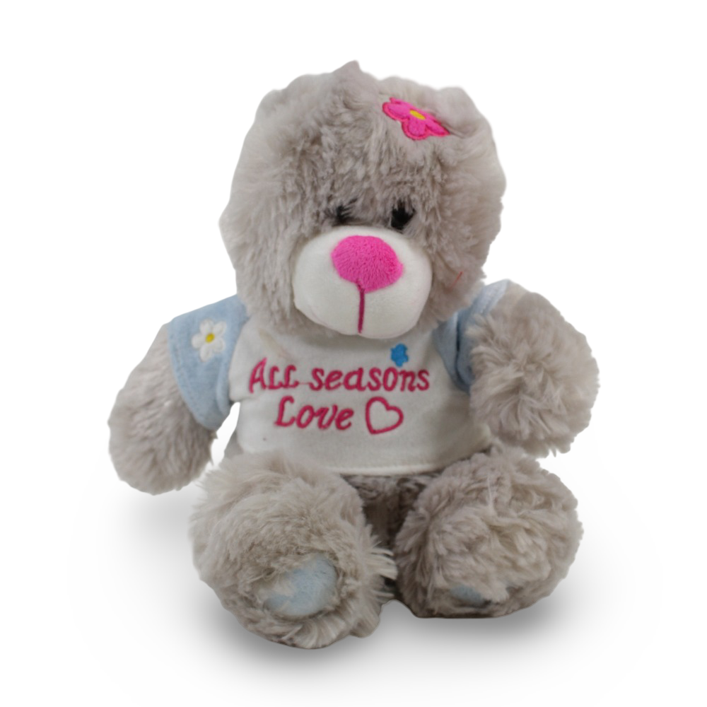 Teddy Bear Plush Toy – Grey