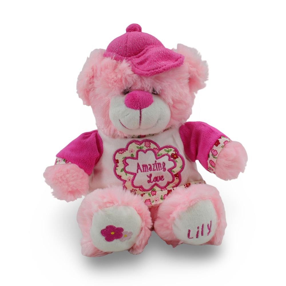 Teddy Bear Plush Toy – Pink