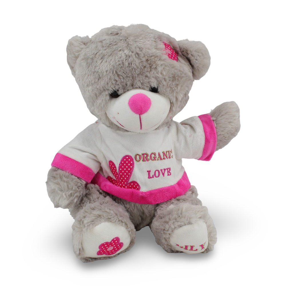 Teddy Bear Plush Toy – Grey