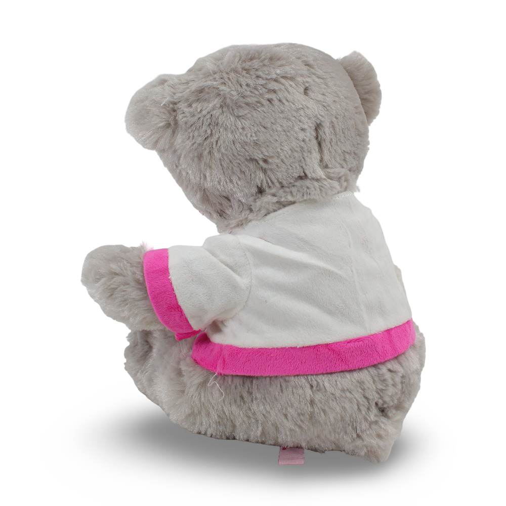 Teddy Bear Plush Toy – Grey