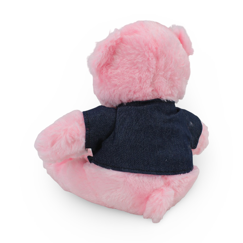 Teddy Bear Plush Toy – Pink