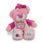 Teddy Bear Plush Toy – Pink