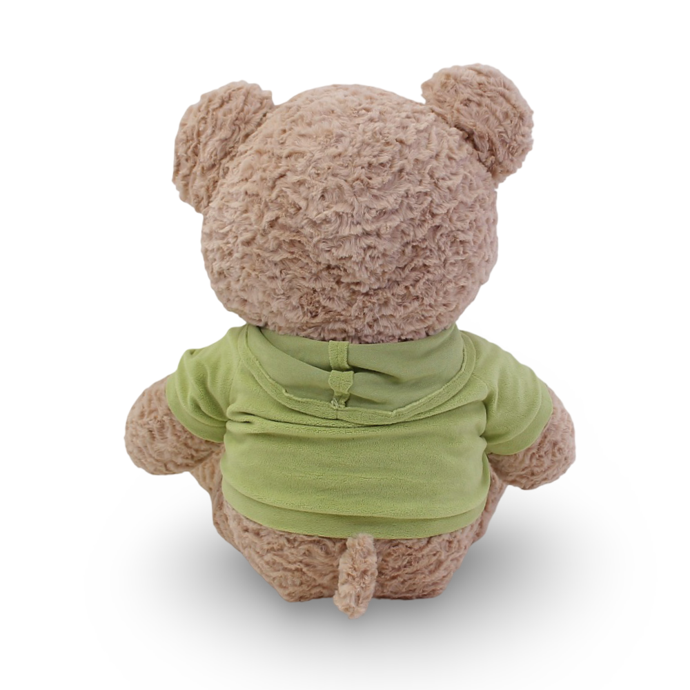 Plush Teddy Bear with Green Hooded T-Shirt – Coffee
