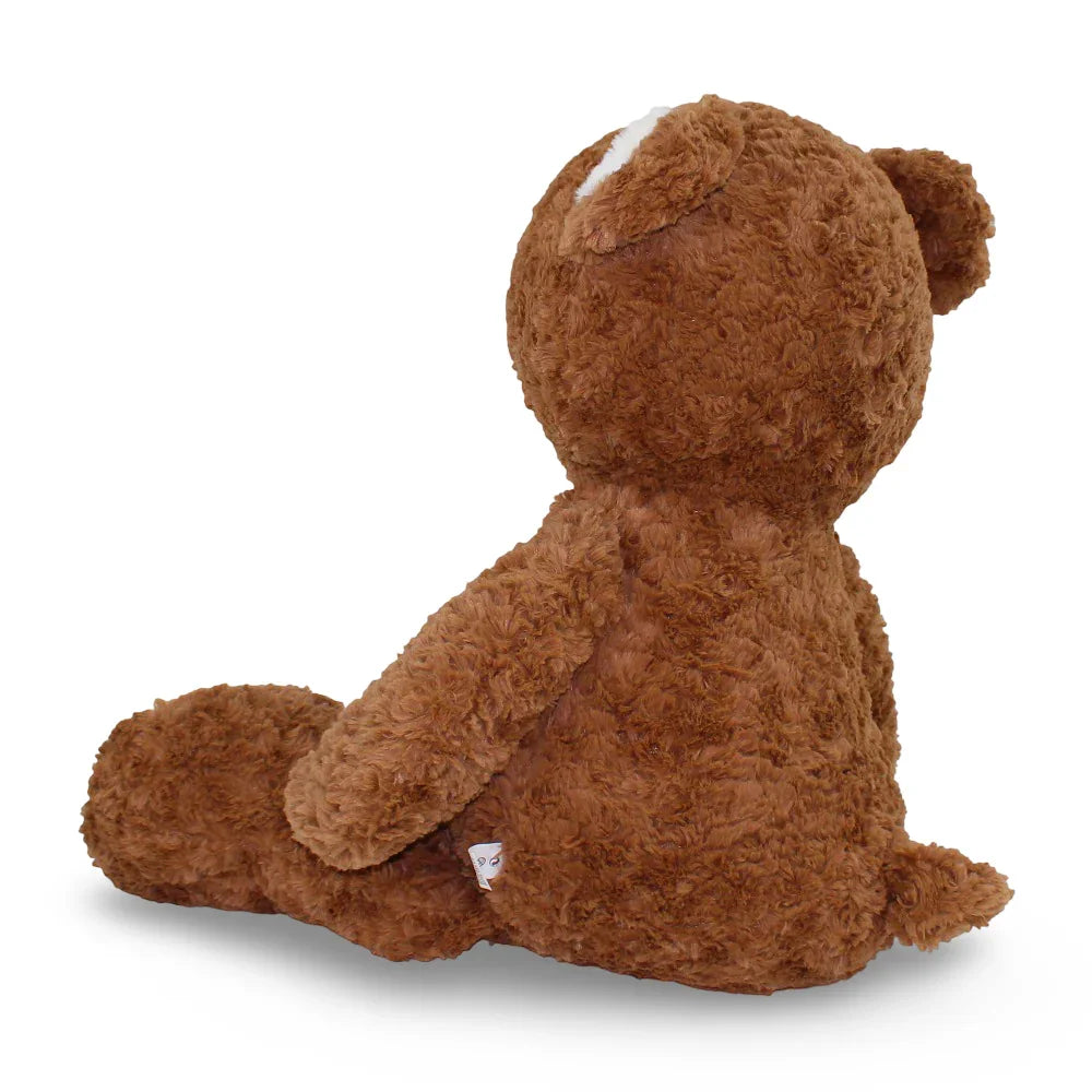 Brown & Beige Teddy Bear Plush Toy