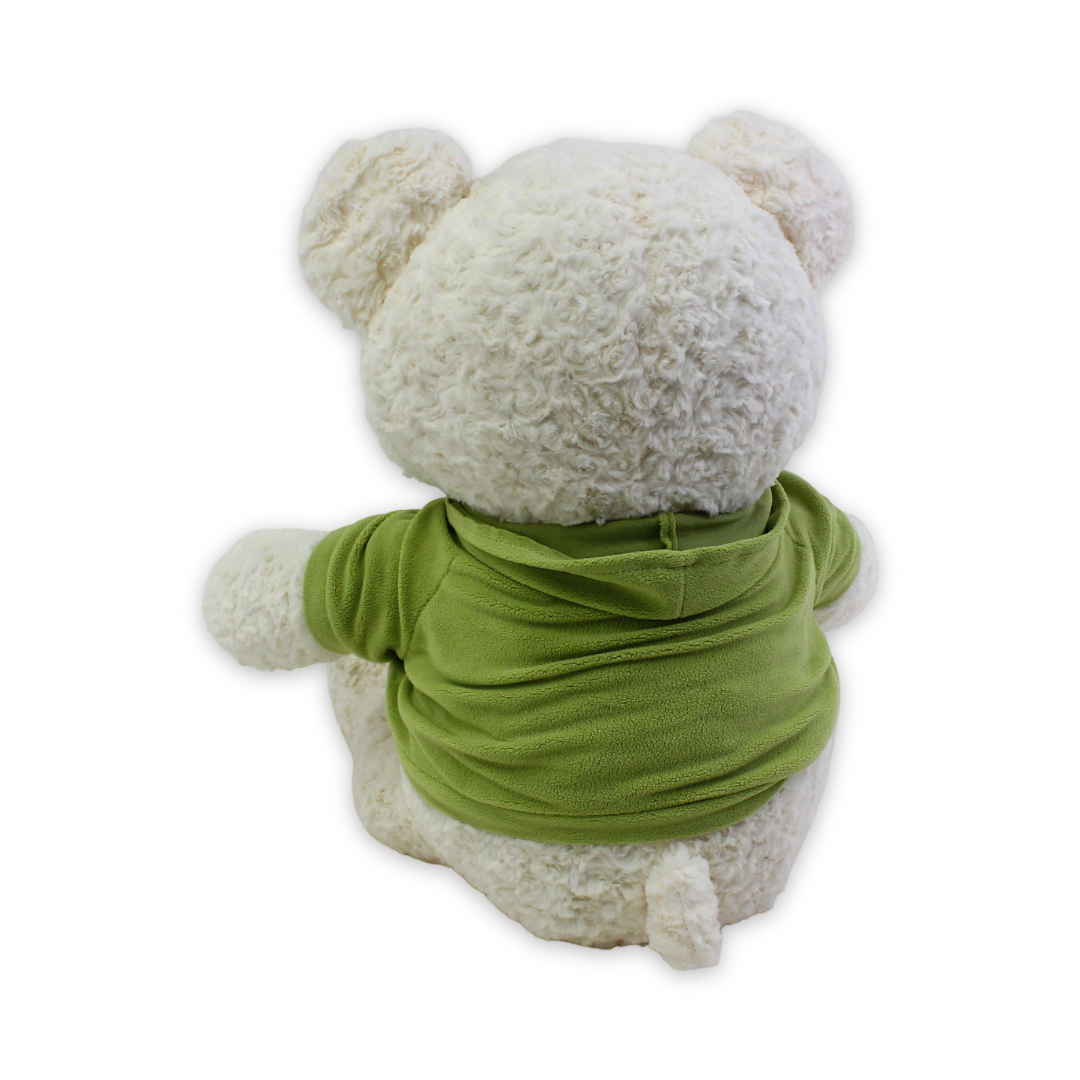 Teddy Bear Plush Toy – Beige with Green T-Shirt