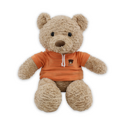 Teddy Bear Beige with Orange T-Shirt Plush Toy