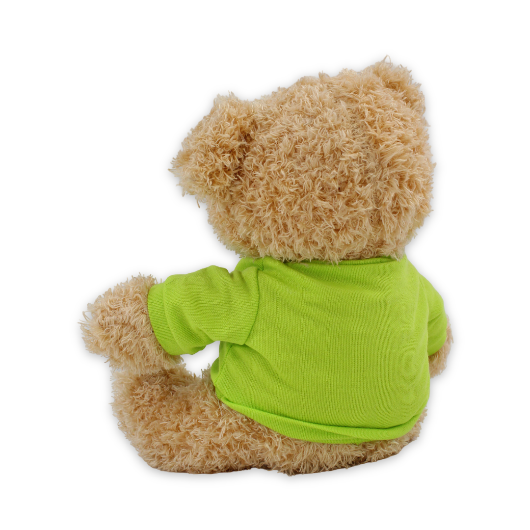 Teddy Bear with Green T-Shirt Plush Toy