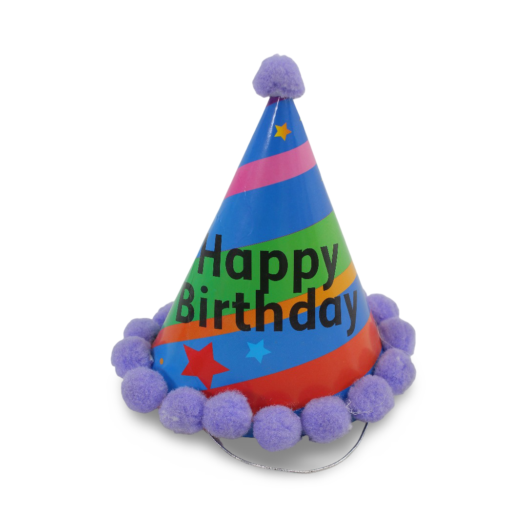 Birthday Party Small Paper Hat – Purple