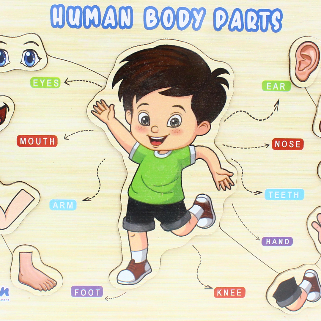 iLearn Educational Wooden Puzzle Human Body Parts