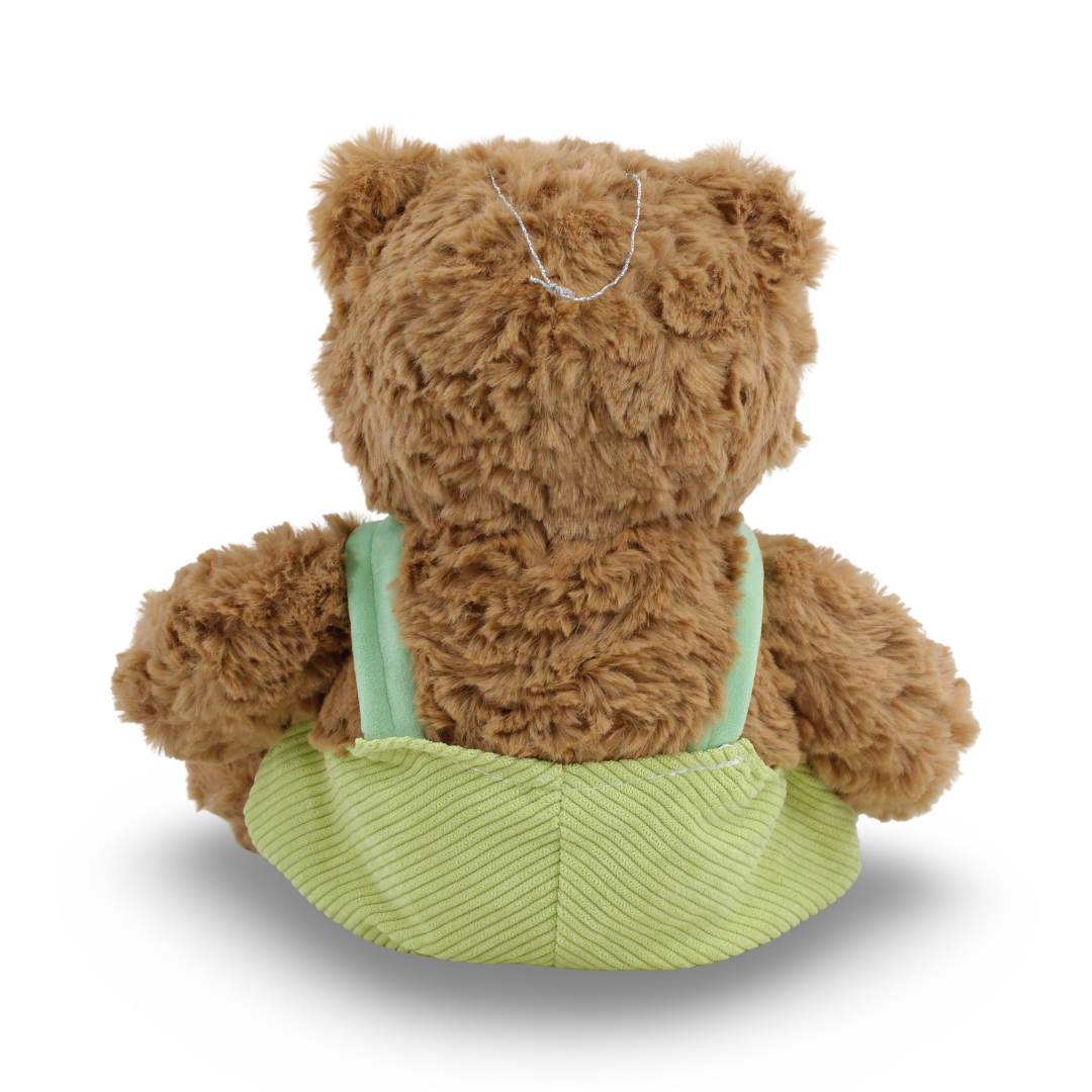 Teddy Bear Plush Toy – Brown with Green Jumpsuit