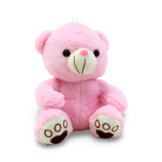 Teddy Bear Plush Toy – Pink