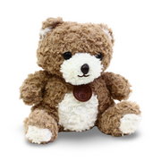 Teddy Bear Plush Toy – Cafe