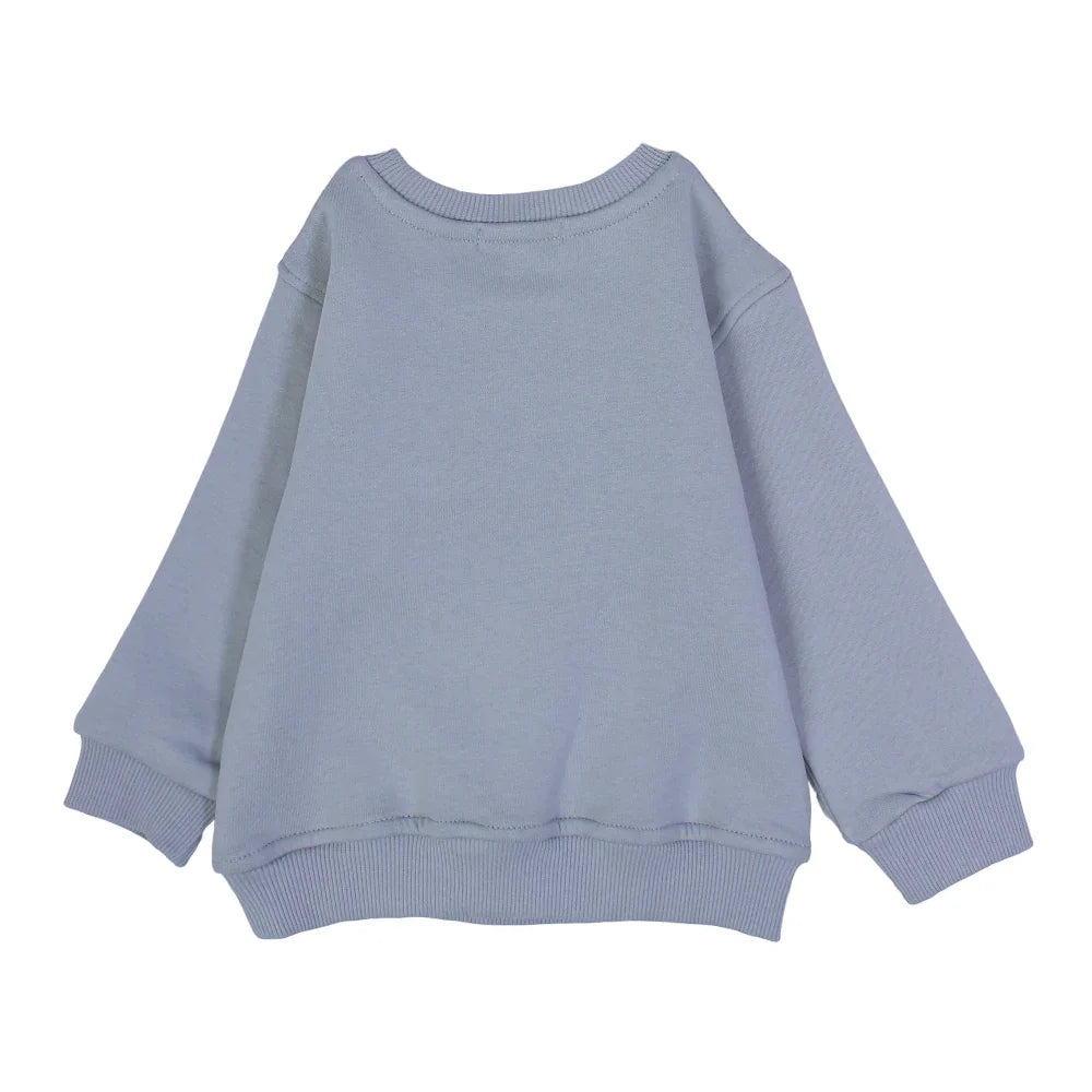 Boys Cotton Sweatshirt – Grey with a Monkey Print
