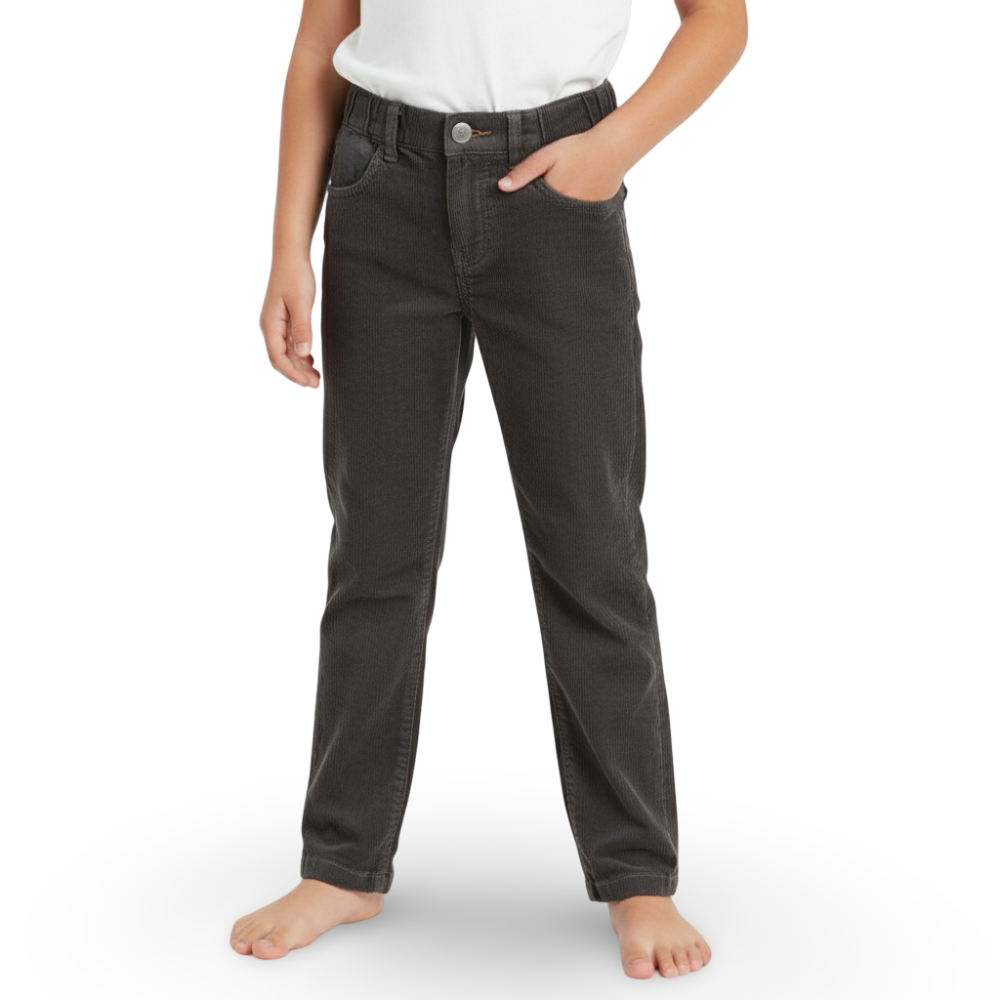 Boys Velvet Pants – Grey