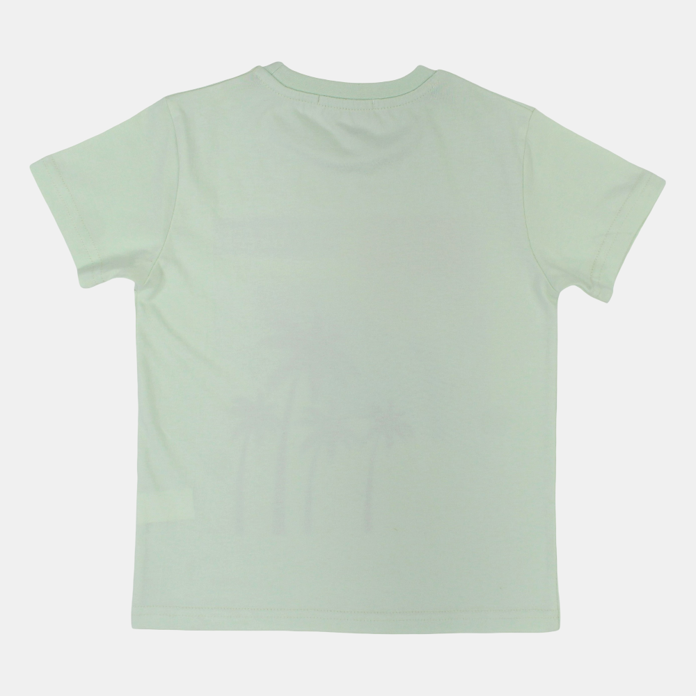 Boys Cotton T-Shirt – Mint with Endless Summer Design