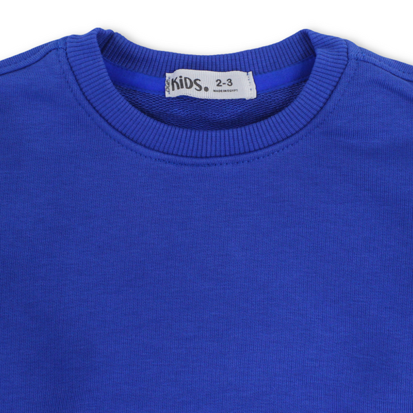 Unisex Cotton Long-Sleeved Sweatshirt – Plain Blue