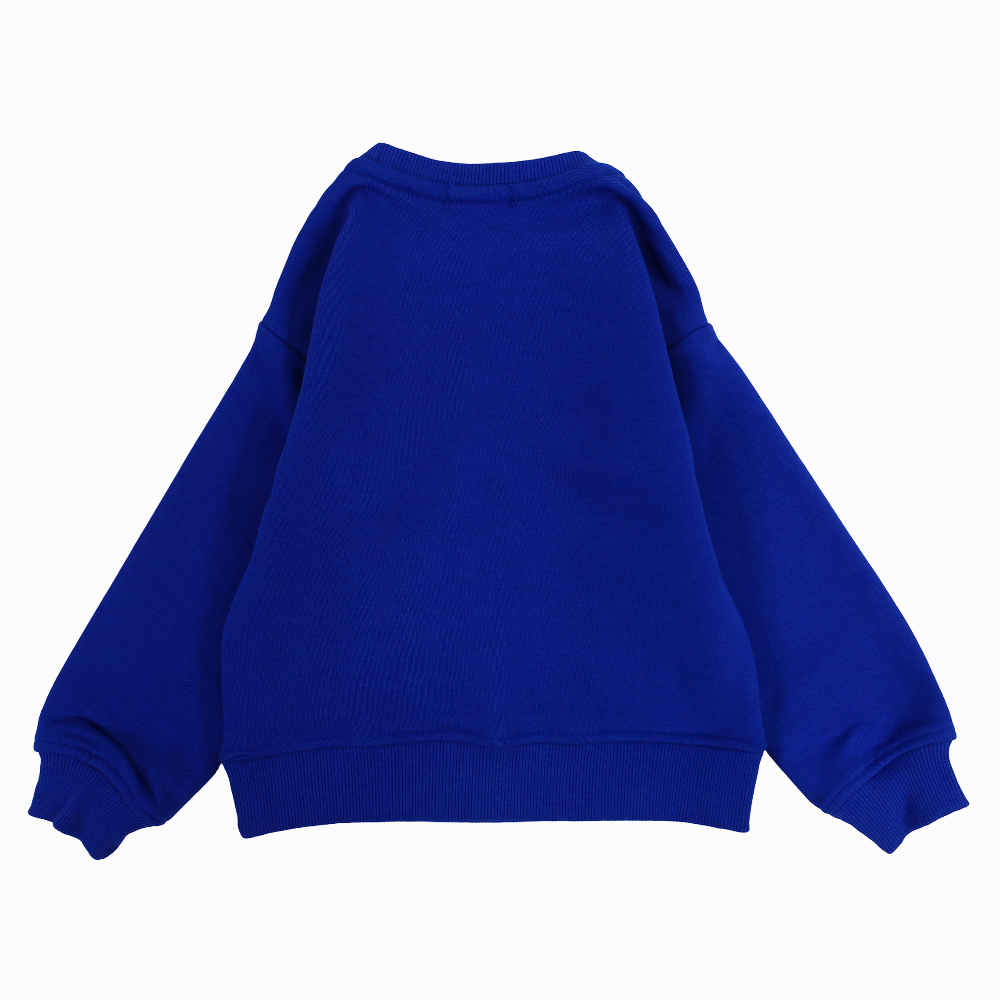 Unisex Plain Cotton Sweatshirt – Blue