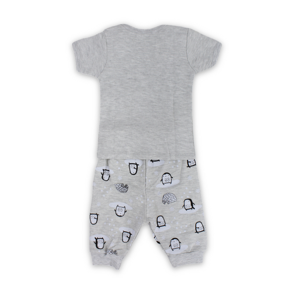 Baby Boys Cotton Pajama – Grey with Penguin Print