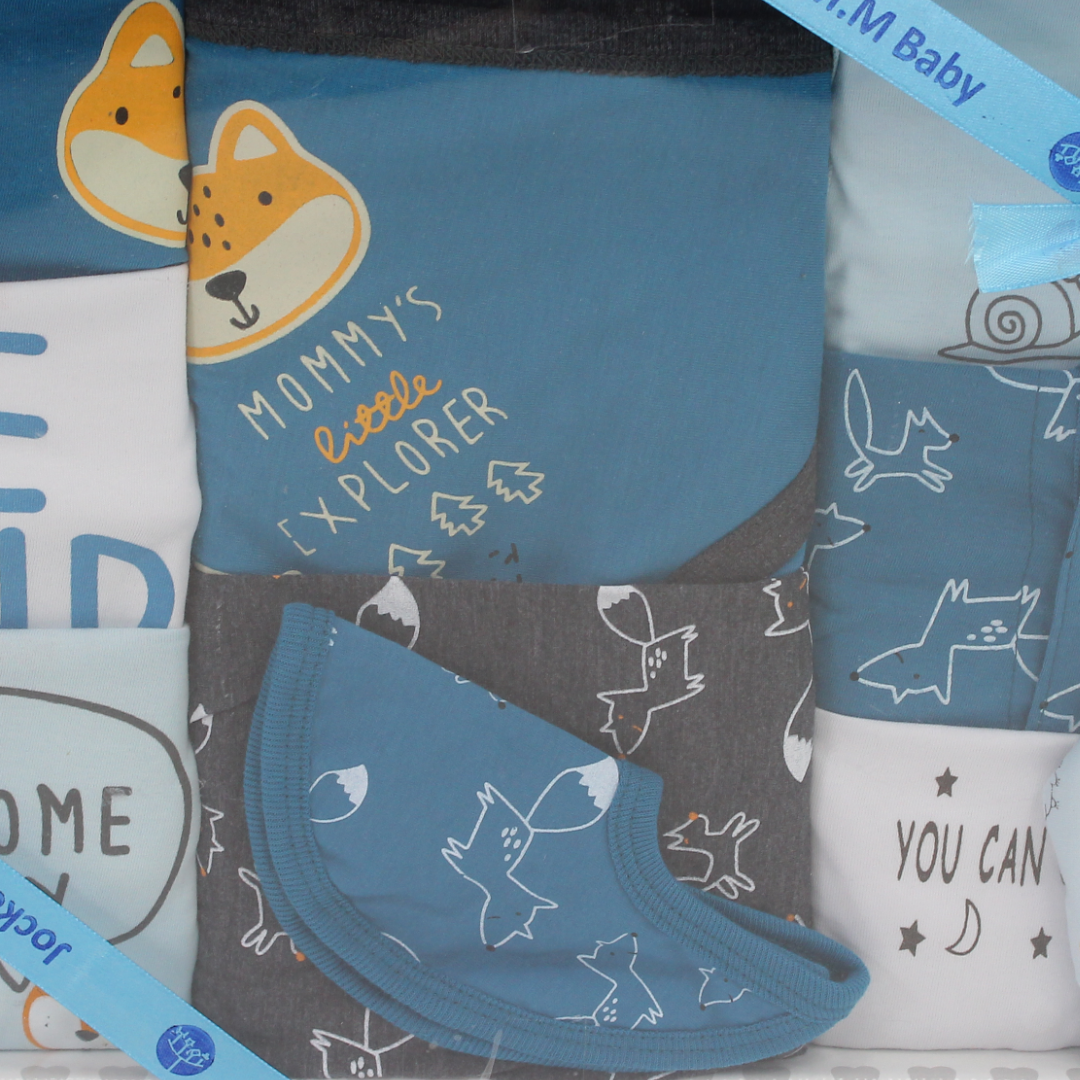 Baby Boys Cotton Gift Clothes Box – Blue with Fox & Hedgehog (3-6m) 10Pcs