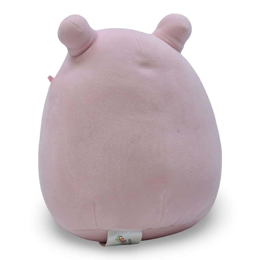 Squishmallows The Pink Frog with Sakura Flower Belly Plush Toy