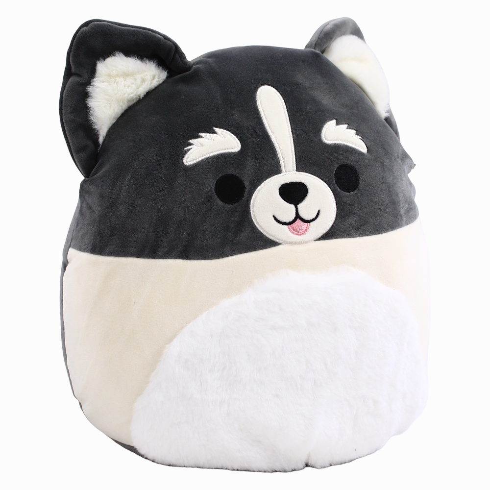 Squishmallows Buddy Squad Paolo the Pomsky
