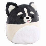 Squishmallows Buddy Squad Paolo the Pomsky