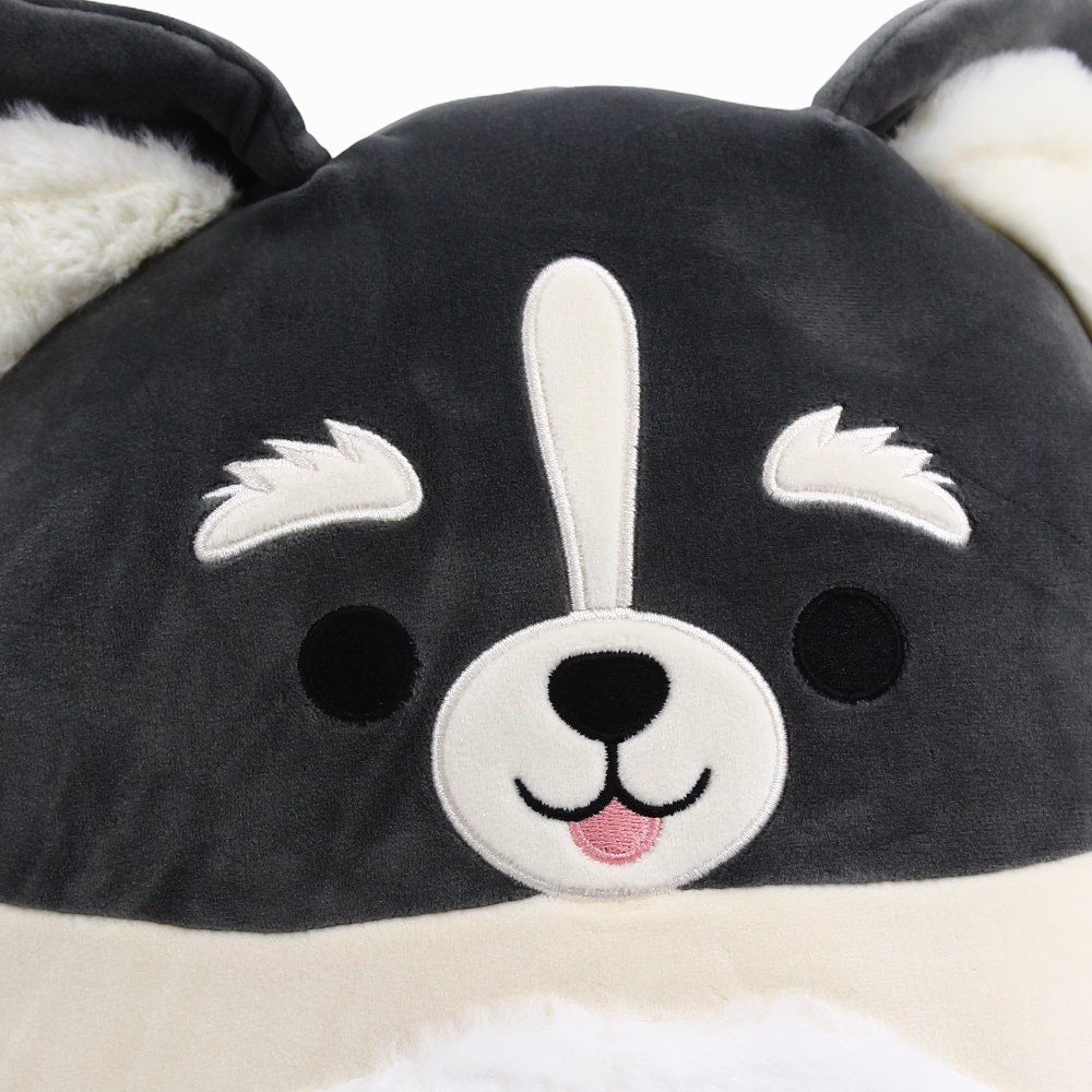 Squishmallows Buddy Squad Paolo the Pomsky