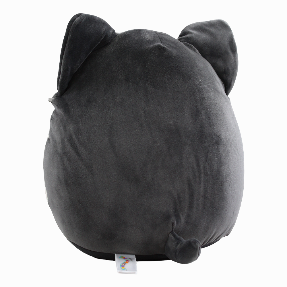 Squishmallows Buddy Squad Paolo the Pomsky