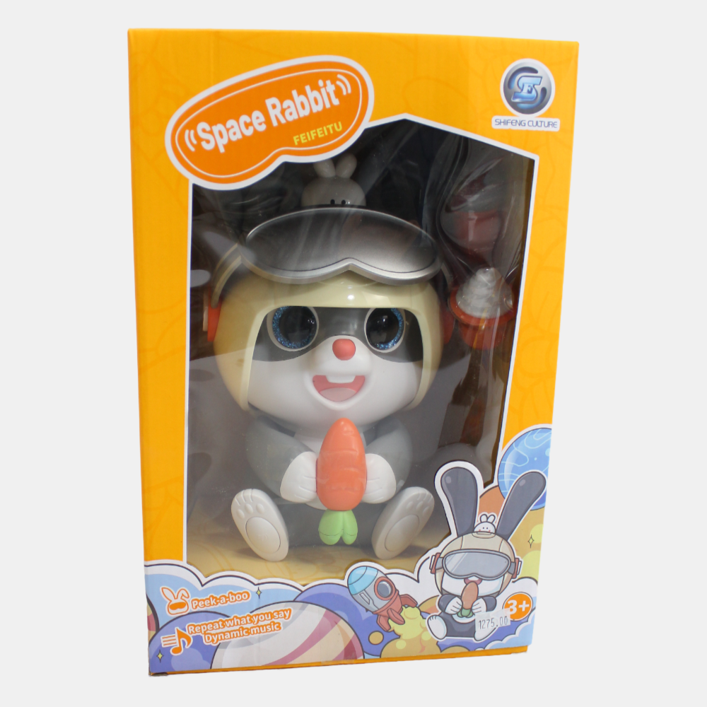 Baby Recording Repeating Musical Toy - Talking Dancing Bunny