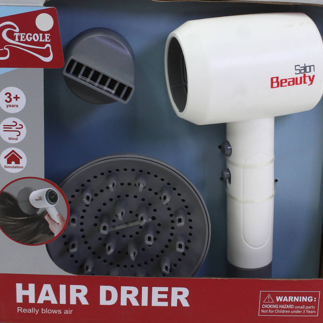 Tegole Hair Dryer Toy