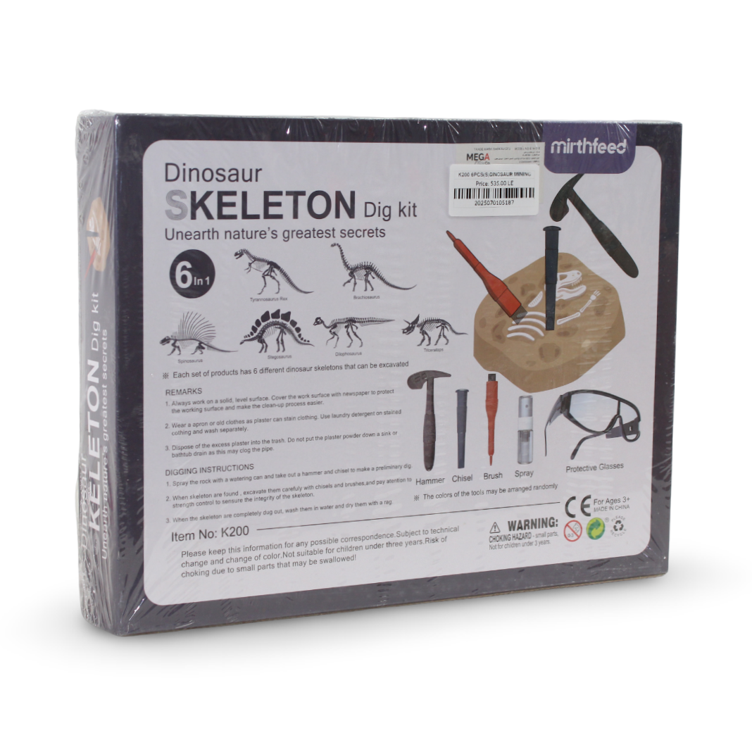 Mirthfeed Discover Fun Art 6in1 Dig Dinosaur Skeleton Stem Set