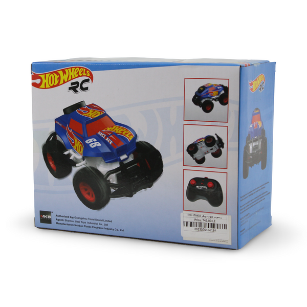 Hot Wheels RC 1:24 Scale Race Ace Monster Truck