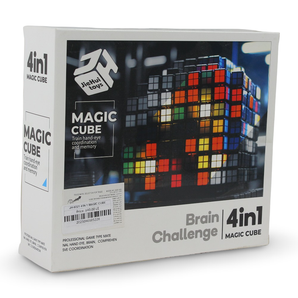 4 in 1 Magic Cube – Brain Challenge Puzzle Set