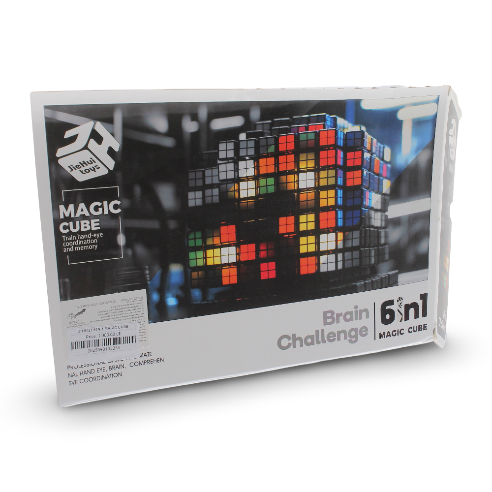 6-in-1 Magic Cube Brain Challenge Set