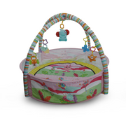 Tiibaby Musical Activity Gym & Ball Pit