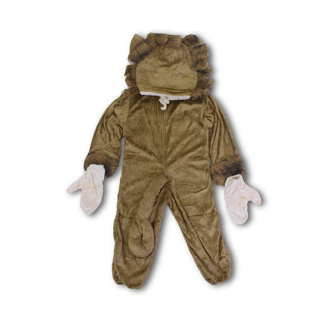 Lion Costume Set