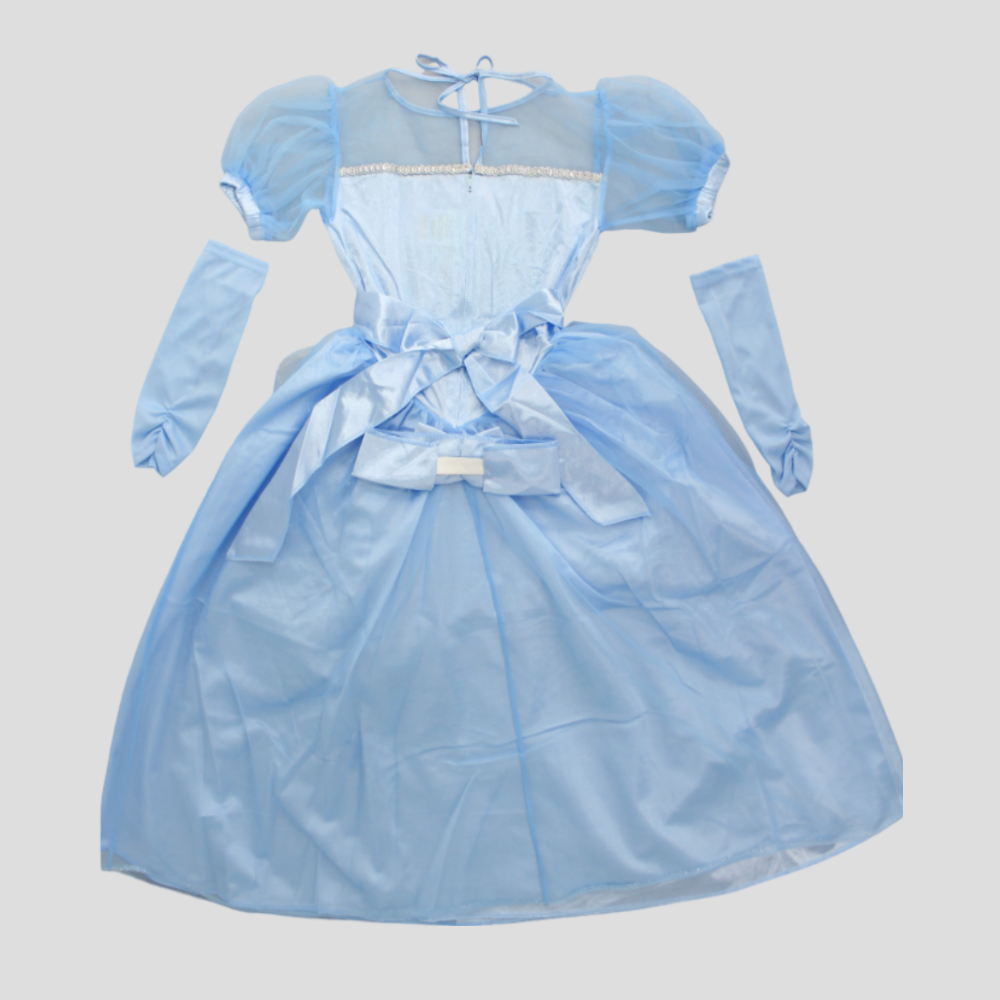 Cinderella Costume