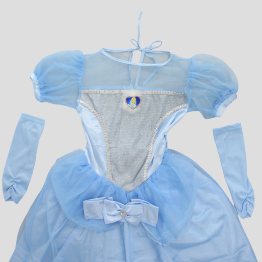 Cinderella Costume