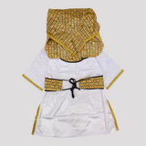 Pharaonic Boy Costume