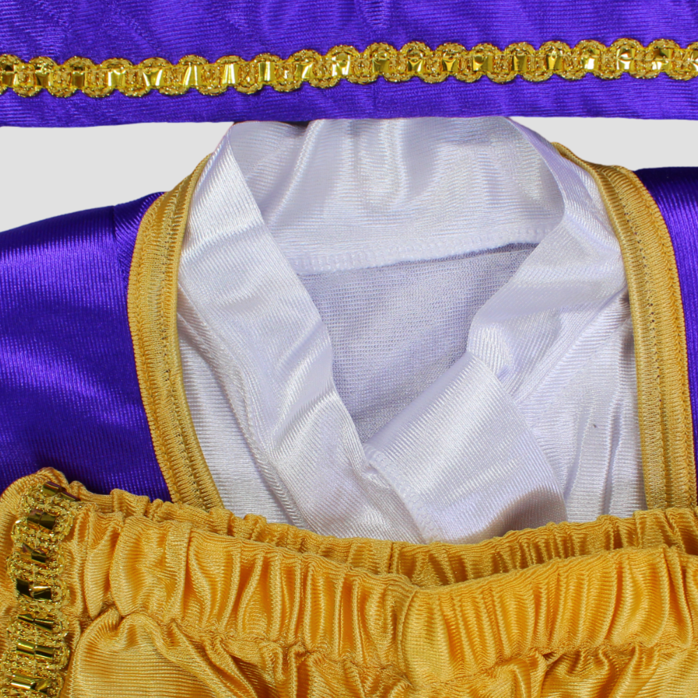 Aladdin Costume