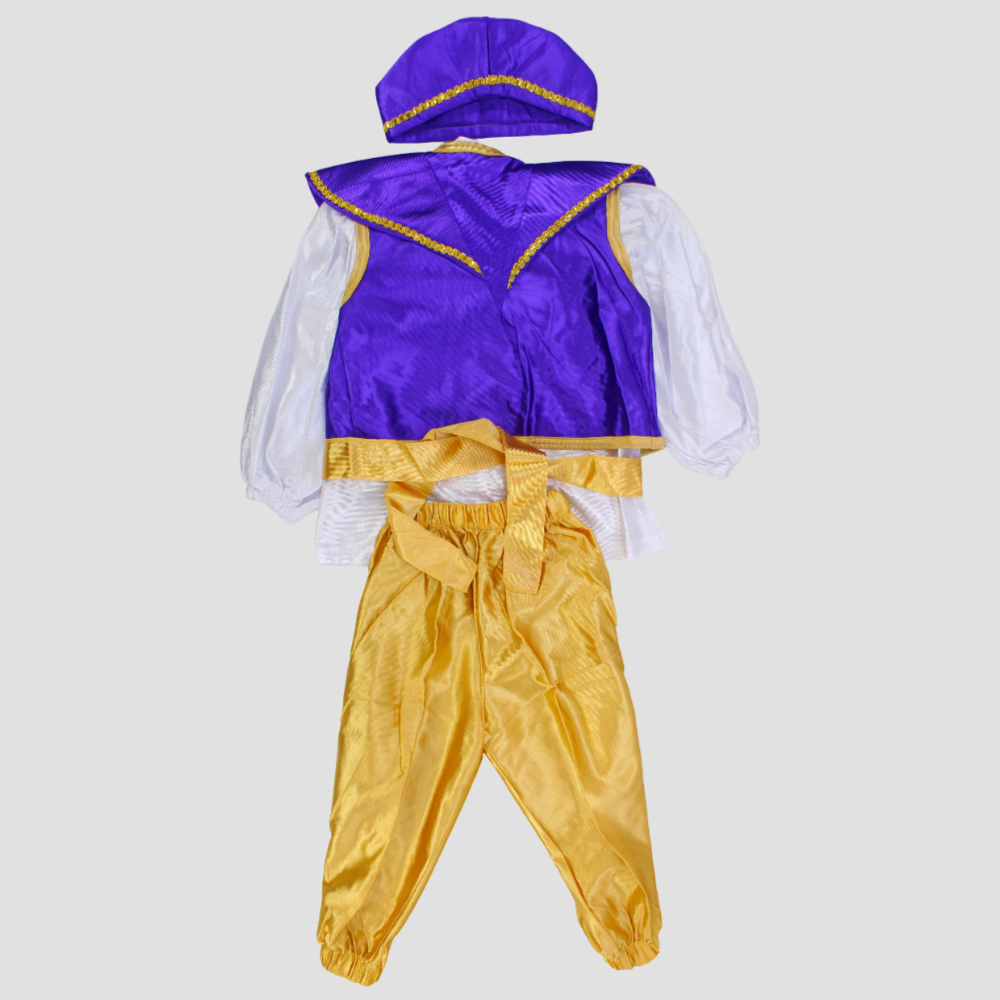 Aladdin Costume