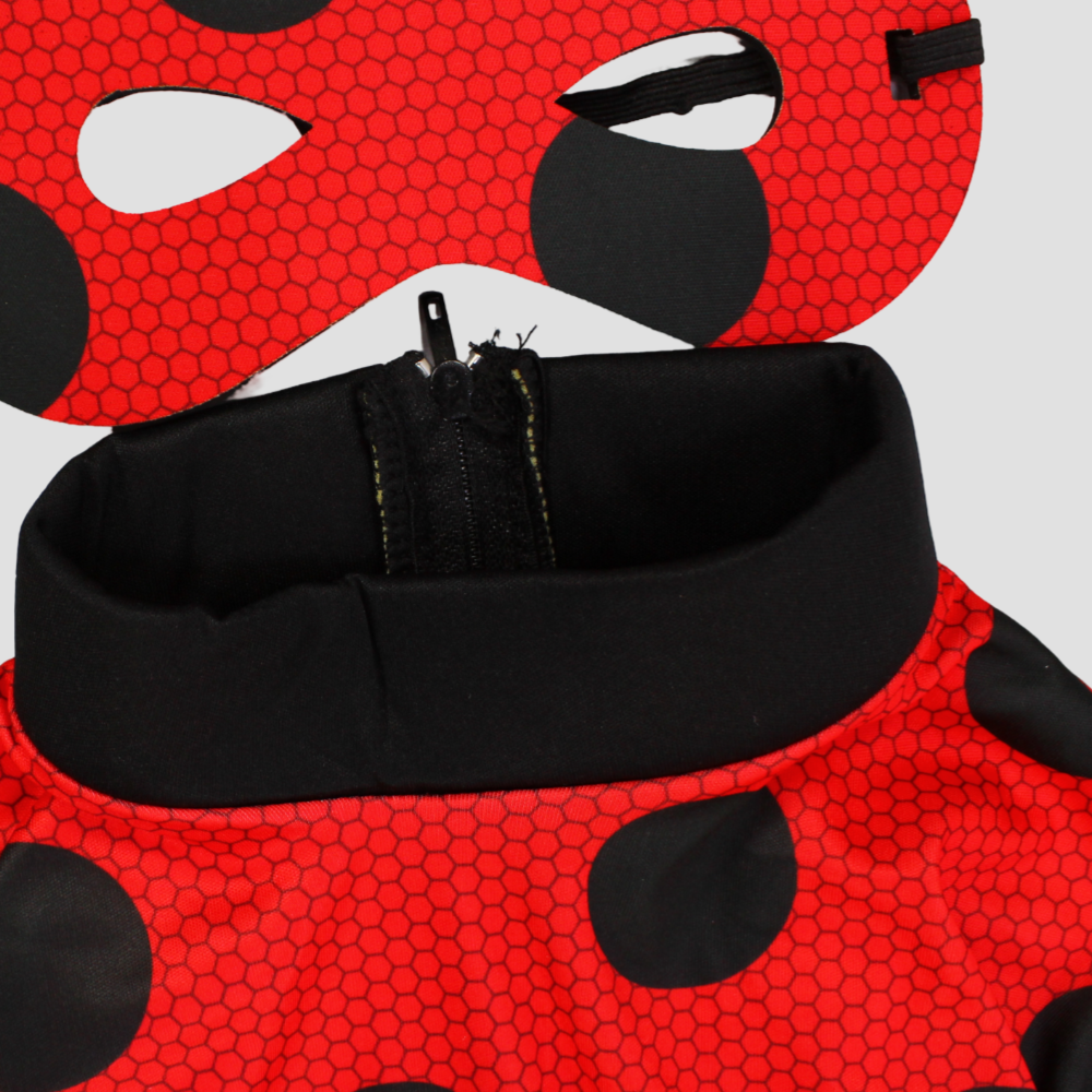 Ladybug Costume