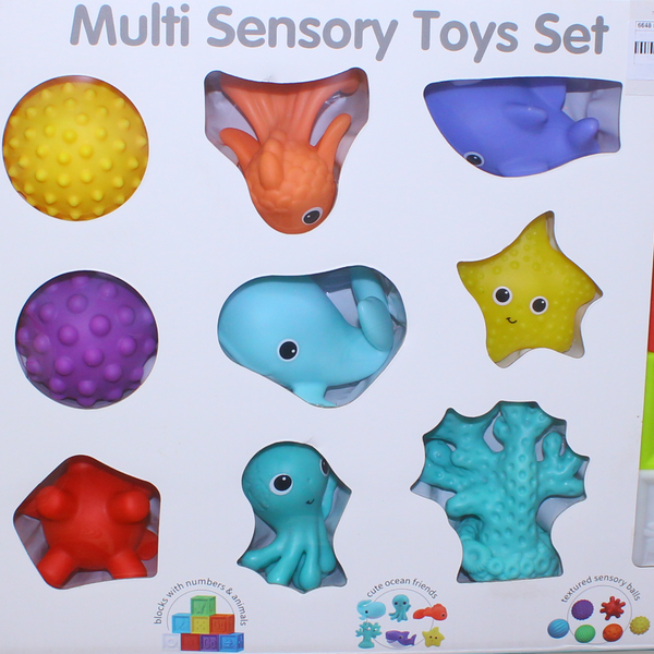 Kids Melody Multi Sensory Toys Set