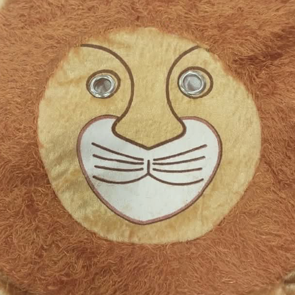 Lion King Costume