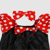 Minnie Mouse Costume