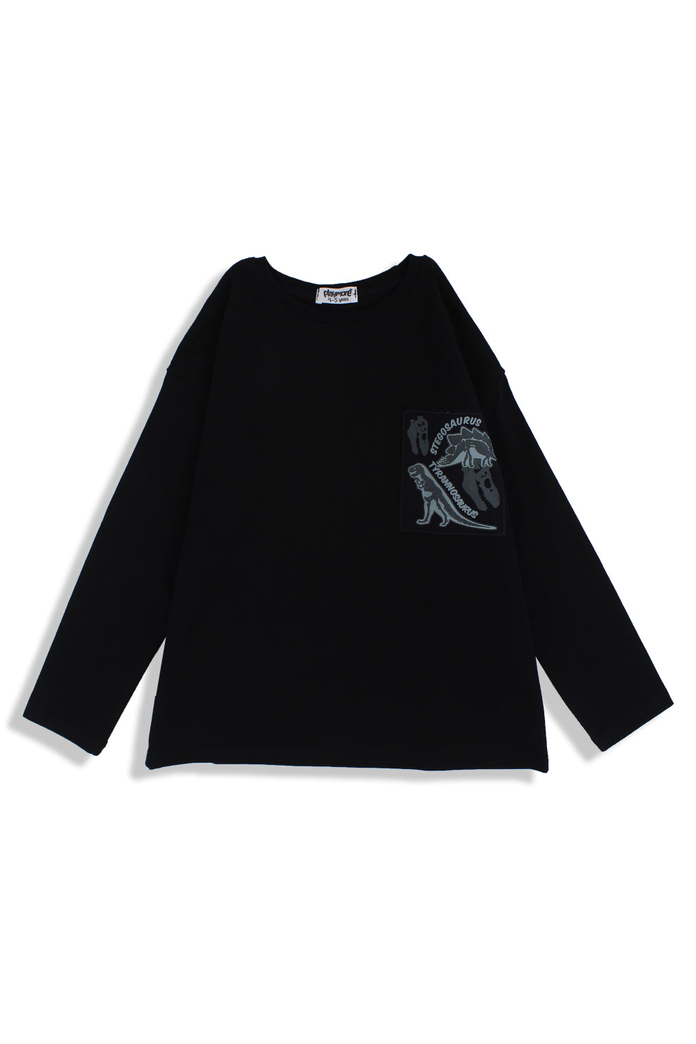 Boys Cotton T-Shirt – Black with Stegosaurus Print